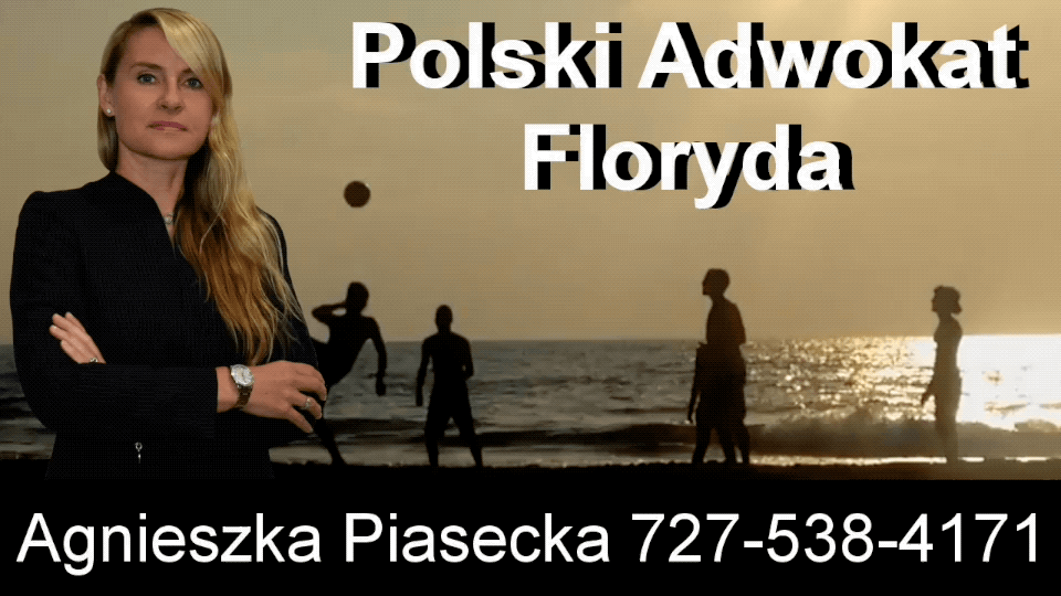 Polski, Adwokat, Prawnik, New Port Richey, Floryda, USA, Agnieszka, Aga, Piasecka 